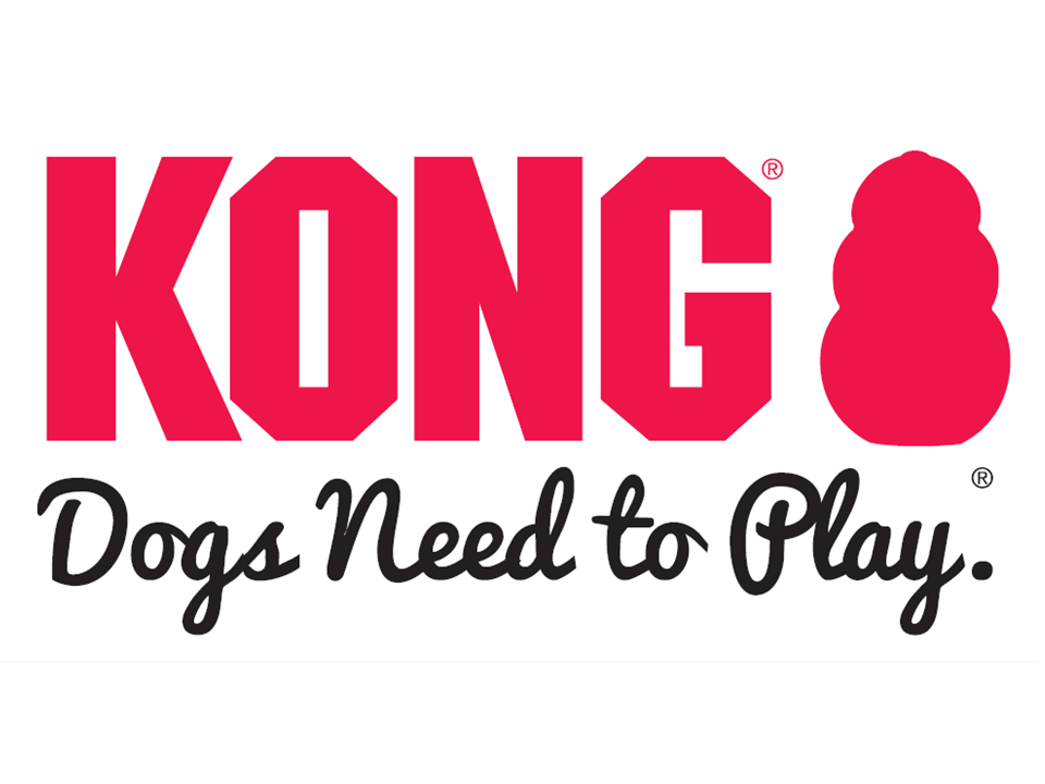 kong icon